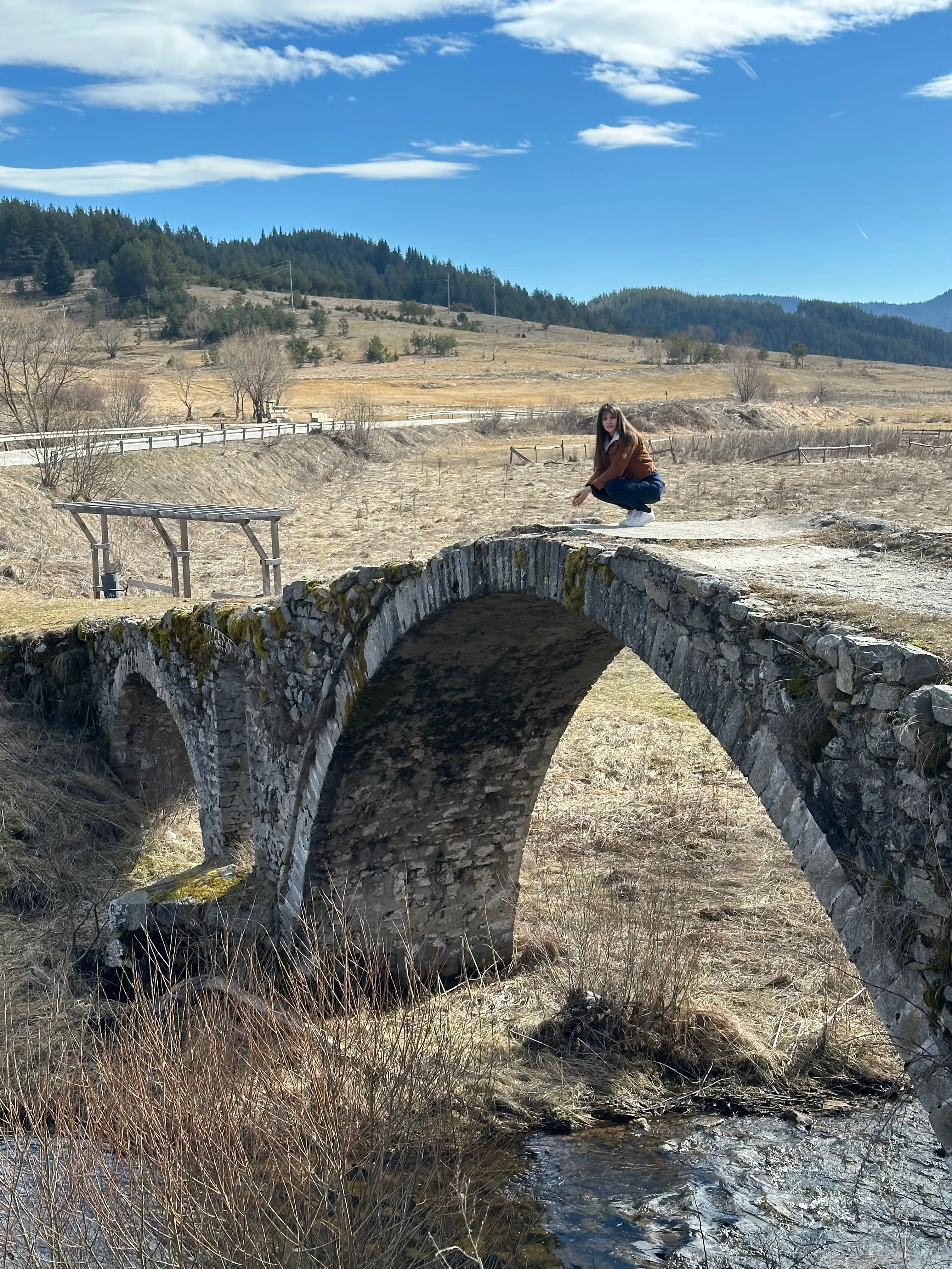 bridge3