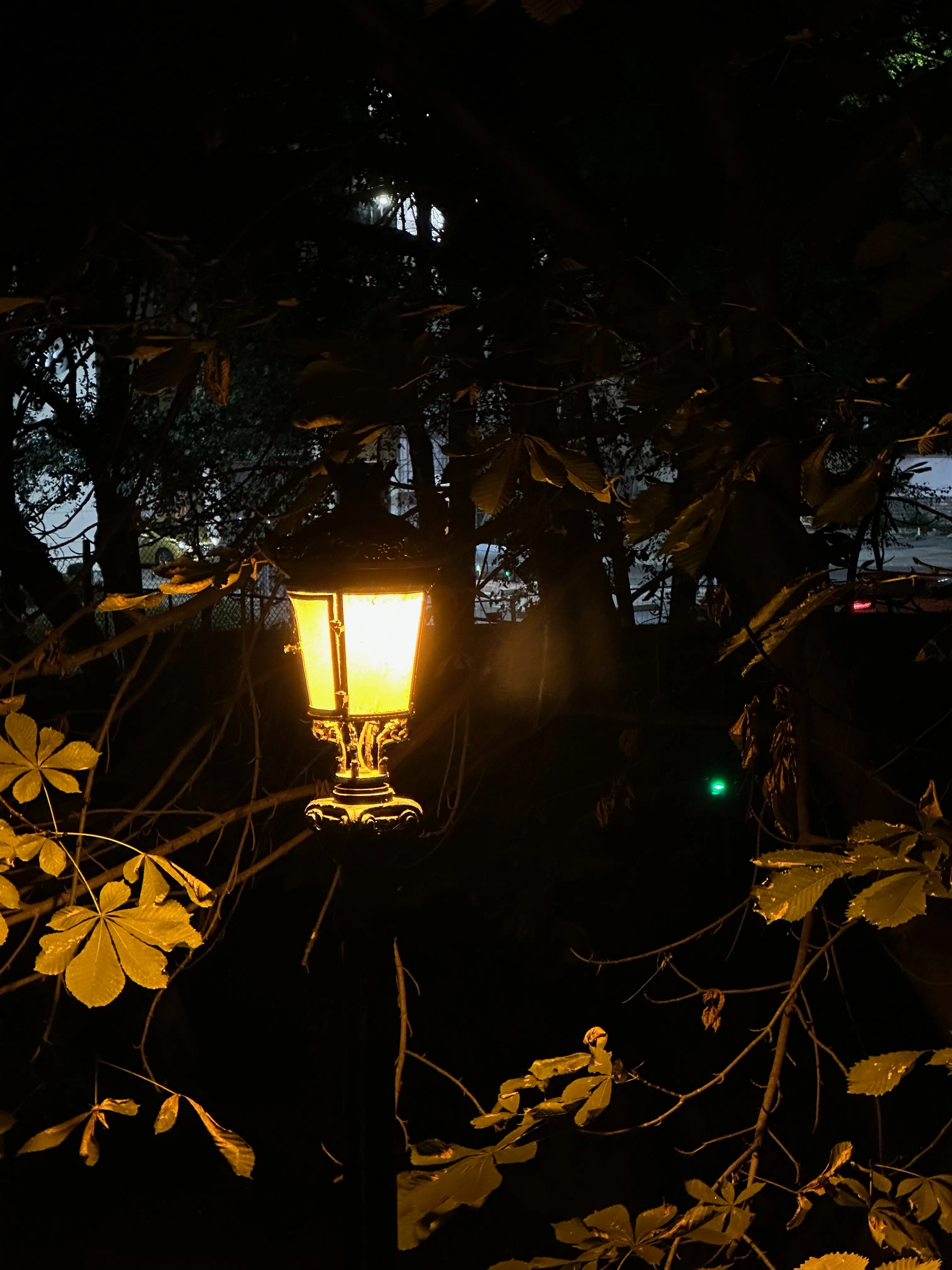 lämp